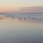 101 Sapphire Tees Bay Redcar