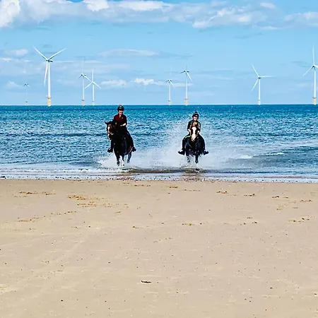 Üdülőpark 101 Sapphire Tees Bay Redcar
